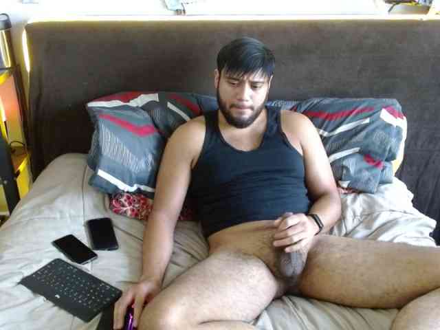 ReyTigre
