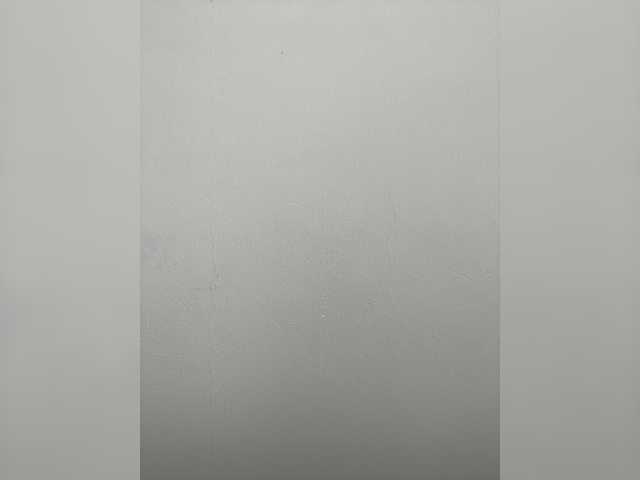 Meow18-1