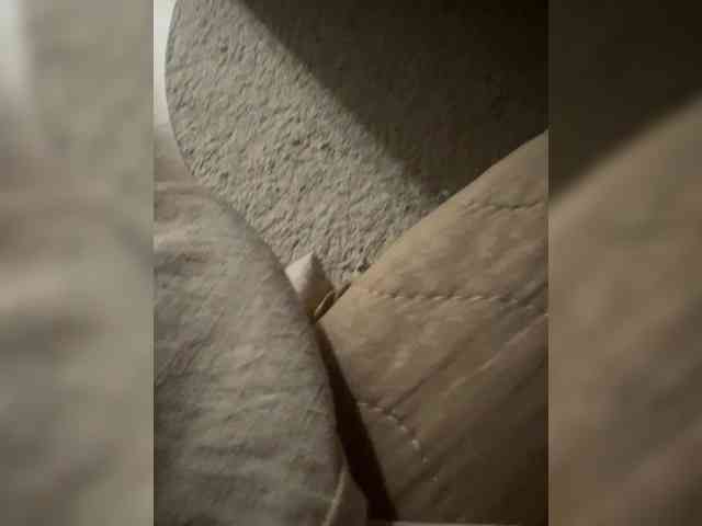 Meow18-1 webcam