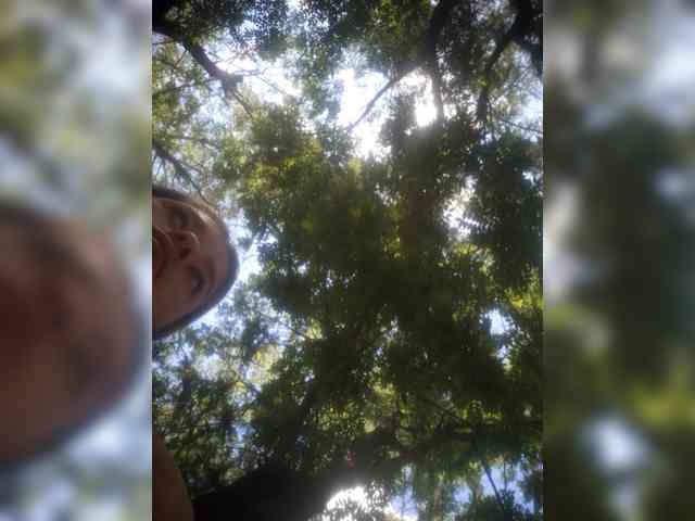 Mamamsi5 webcam