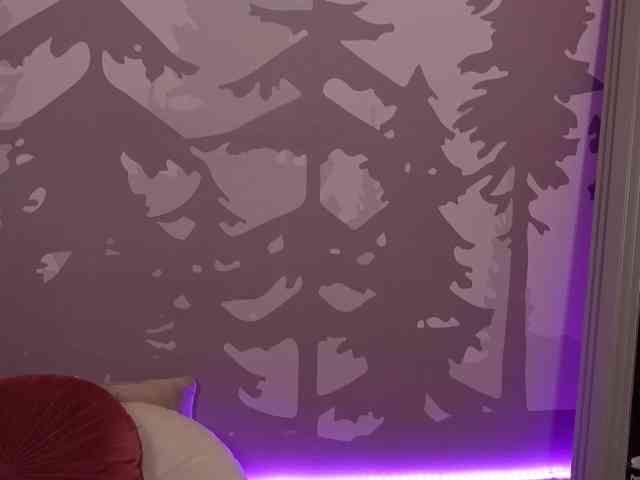 LilaVoxx
