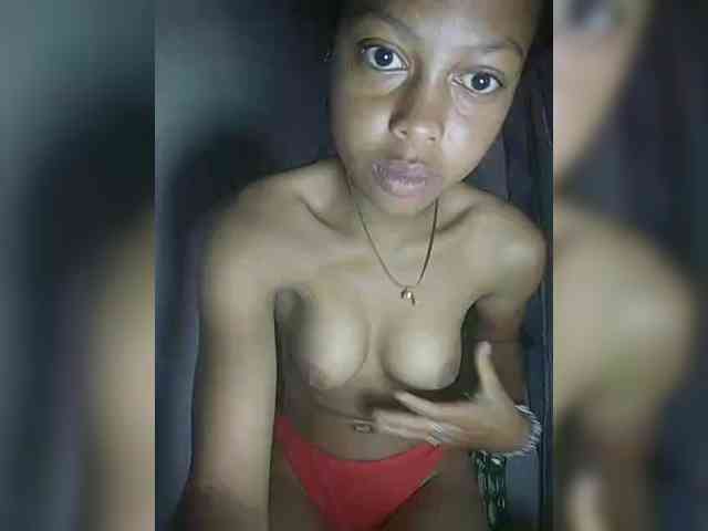 Modelo: Ericad