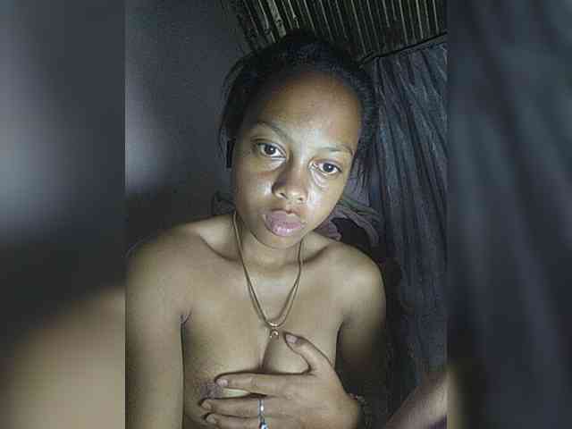 Ericad webcam