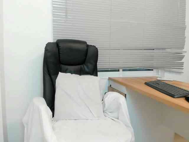 Scarlet-Estelle webcam