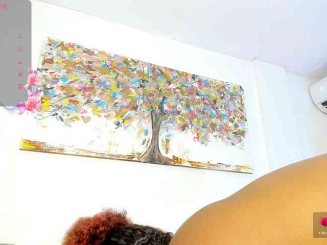 Scarlet-Estelle webcam