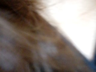 Rhainne Porn Show