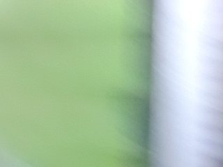 Rhainne Porn Show