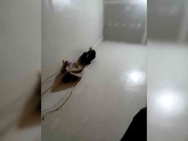 Rhainne webcam