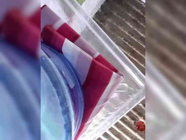 Rhainne webcam