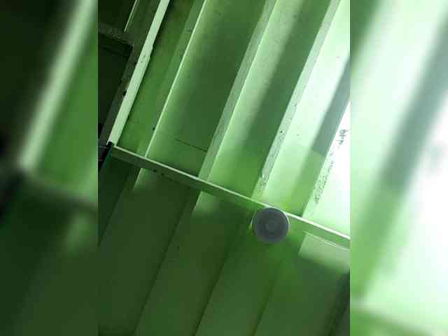 Rhainne webcam
