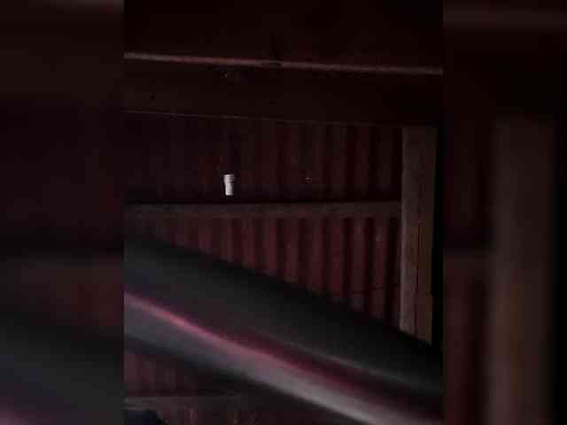 Rhainne webcam