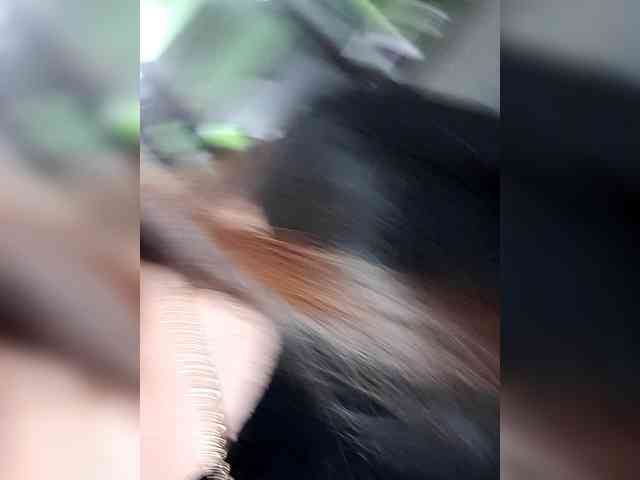 Rhainne webcam