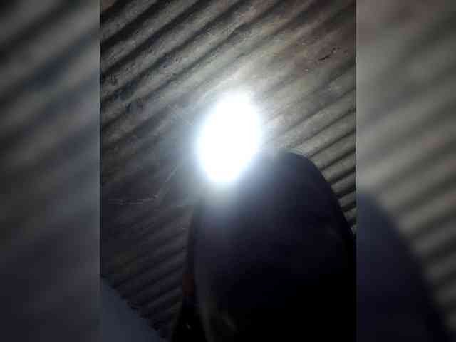 Rhainne webcam