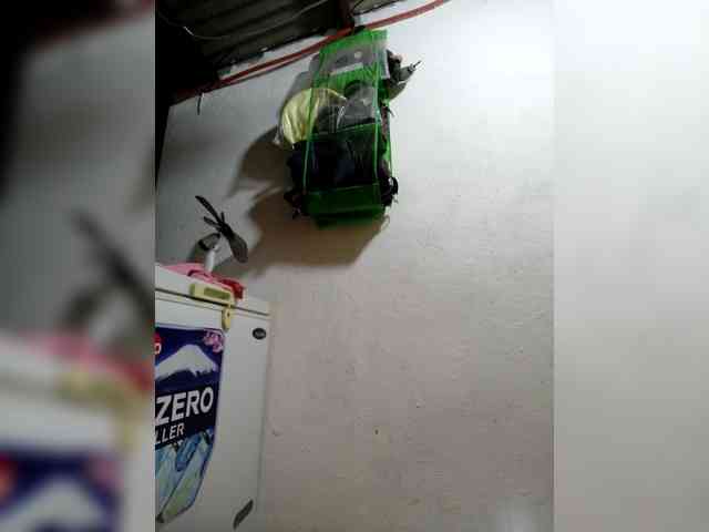 Rhainne webcam