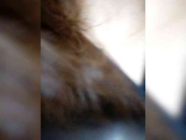 Rhainne webcam