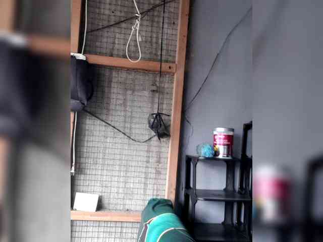 Rhainne webcam