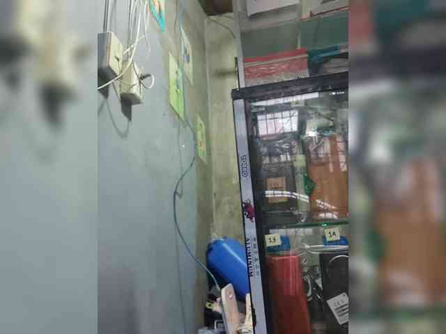 Rhainne webcam