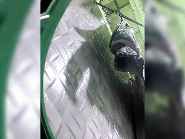Rhainne webcam