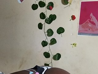 Nadama
