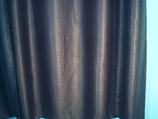 Nadama's Live Webcam
