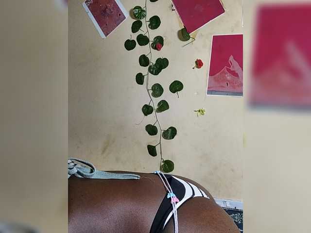Nadama live cam on BongaCams