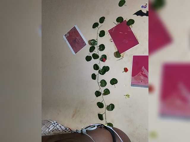 Nadama live cam on BongaCams
