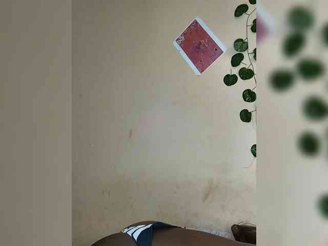 Nadama webcam