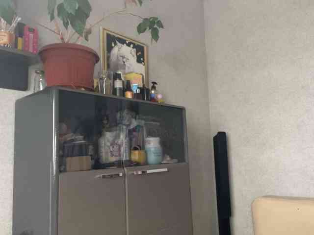 SofiaTanna webcam