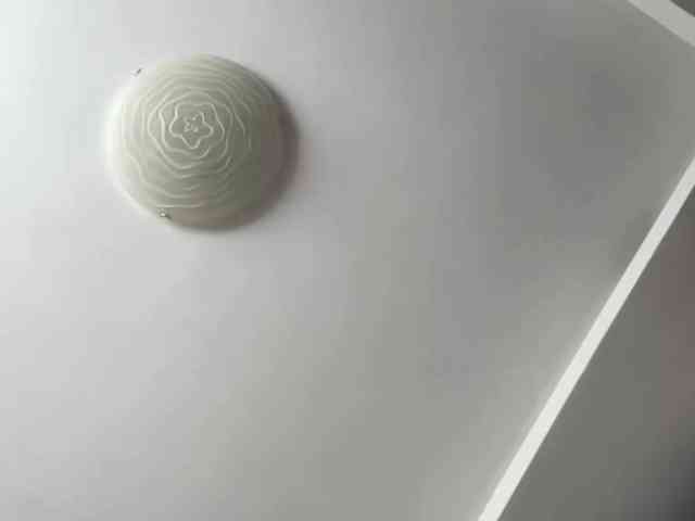 SofiaTanna webcam