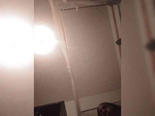 Lustylunna webcam