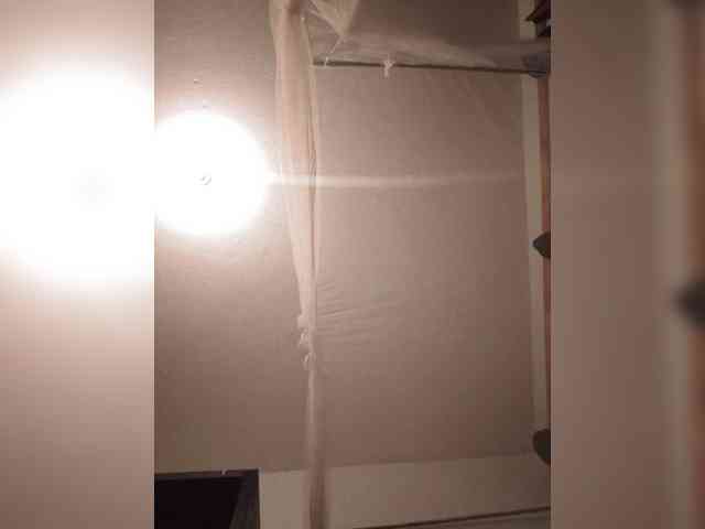 Lustylunna webcam