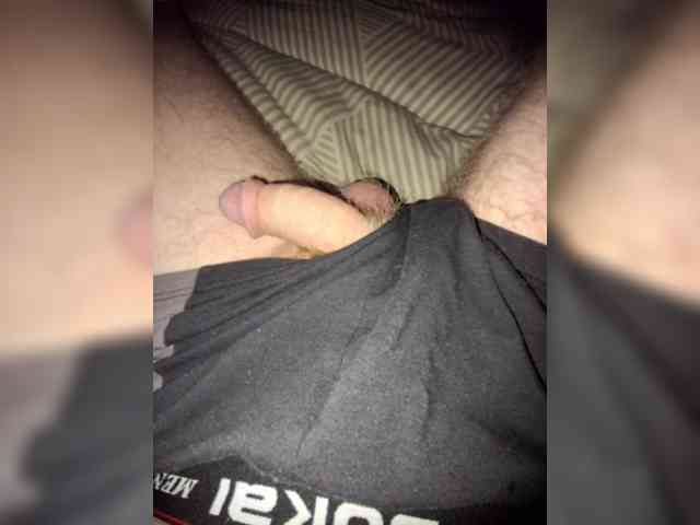 Dendisel53