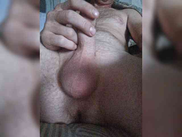 Dendisel53