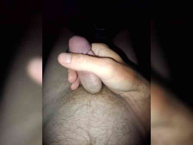 Dendisel53