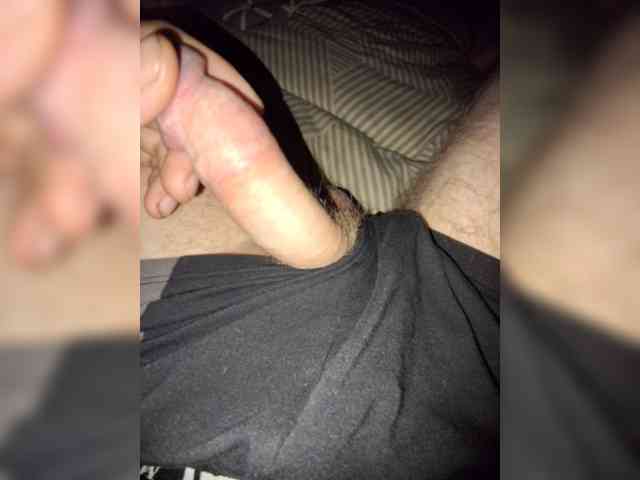 Dendisel53