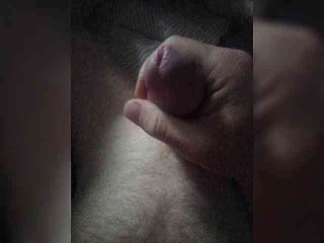 Dendisel53