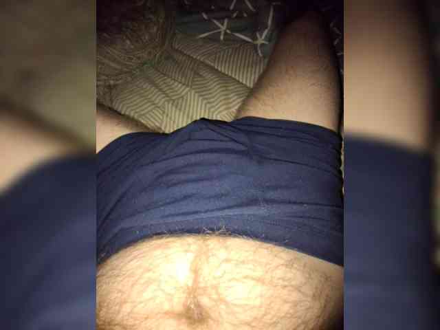 Dendisel53