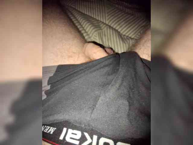 Dendisel53