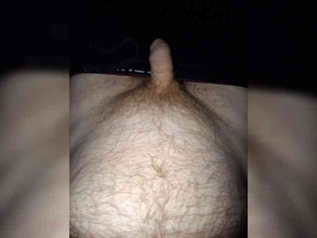Dendisel53
