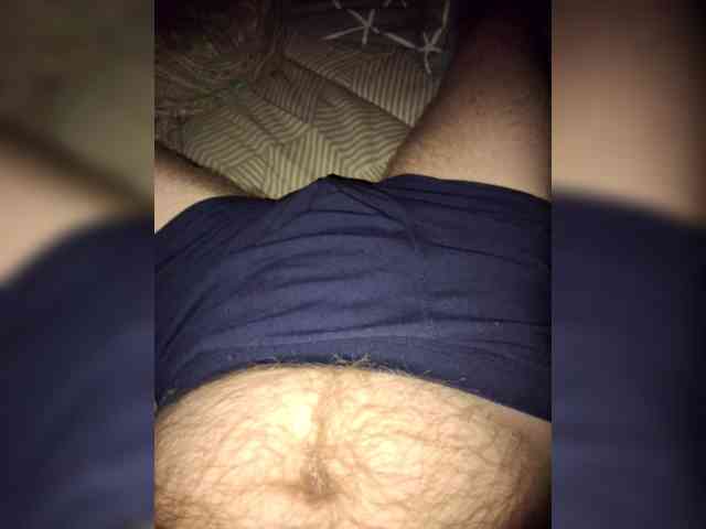 Dendisel53