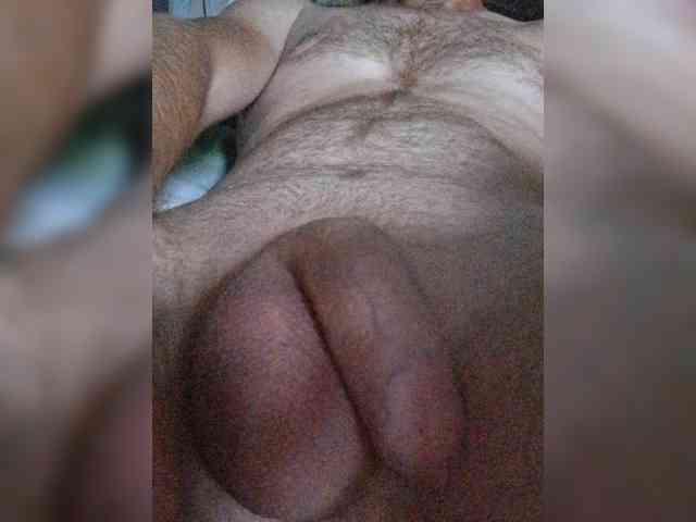 Dendisel53