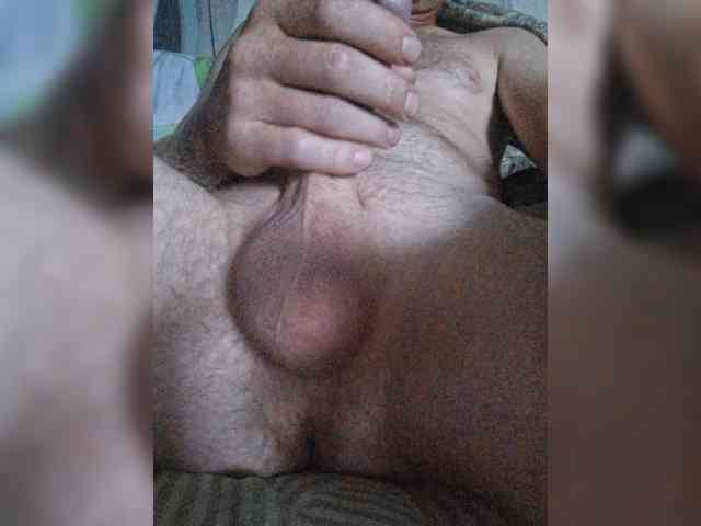 Dendisel53