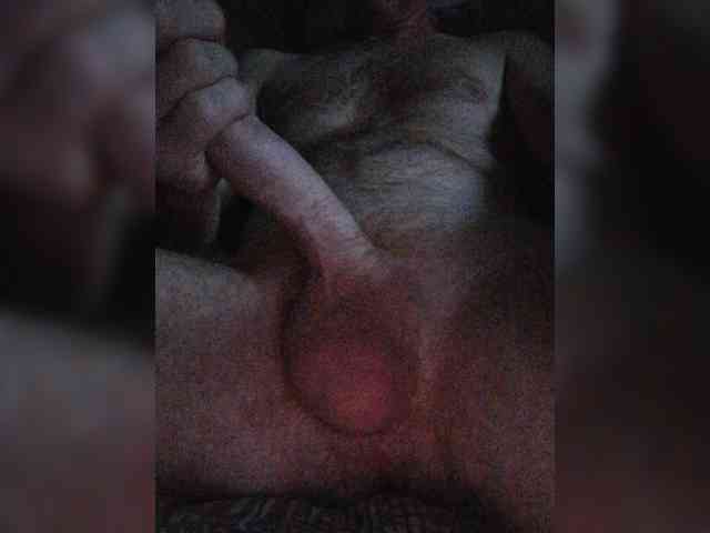 Dendisel53