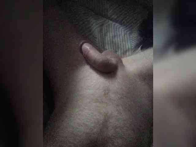 Dendisel53