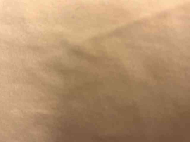 megahornylady Sex Cam Show