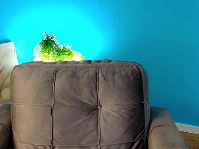 GracePabst Sex Cam Show
