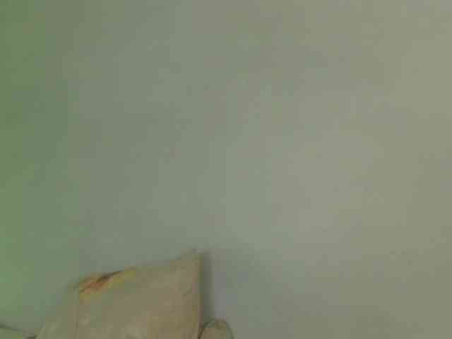 wilding69 webcam
