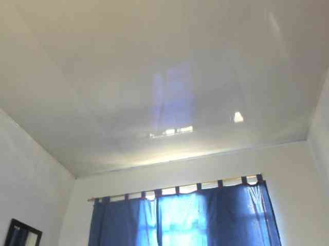 wilding69 webcam