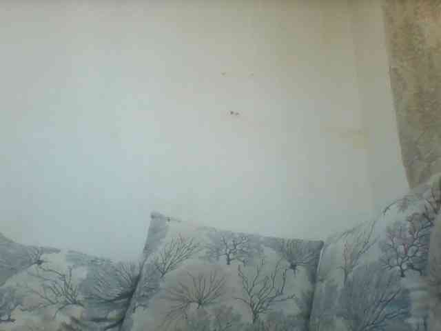 Heydarlingdarling webcam