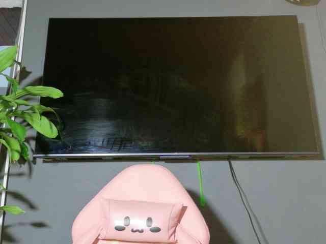 Medusa03 webcam